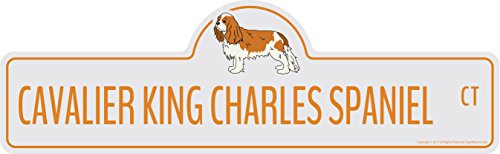 Cavalier King Charles Spaniel Street Sign | Indoor/Outdoor | Dog Lover Funny Home Décor for Garages, Living Rooms, Bedroom, Offices | SignMission Personalized Gift | 24" Wide -  P-1136 Cavalier King Charles Spaniel