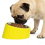 French Bulldog Bowl (15° Tilted) - Anti-Choke Slow Feeder...