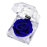 CAZSTYK ABS-Rosen-Schmuckschatulle bietet stabile Aufbewahrung und sichtbare Organisation f&uuml;r Ihre Accessoires und Schmuckschatulle