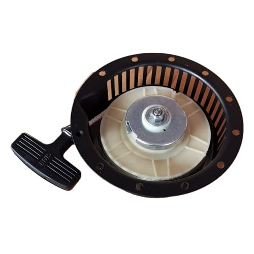 Arranque de retroceso L48 soluciona tirones duros en motor 170F 3