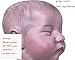 Anano Reborn Baby Levi Realistic Newborn Baby 19 inch 48cm Life Size Silicone Doll (Brown)