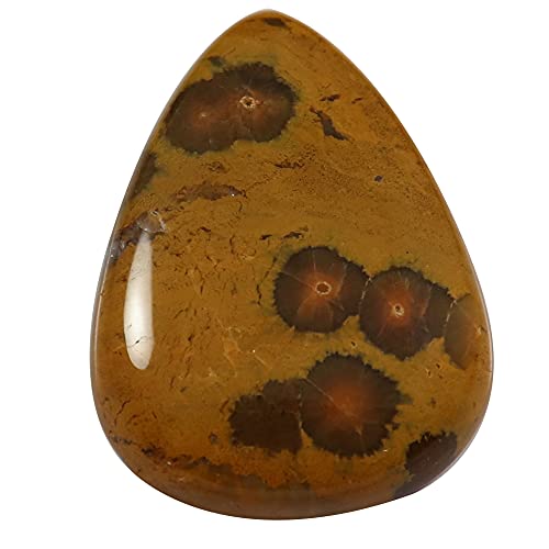 ChI[VWXp[yAVR[XWFXg[ 34Jbg Ox38-B09BR61L66