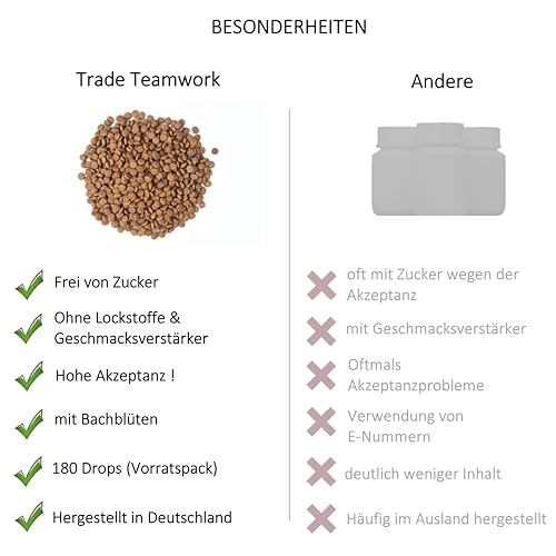 Haut-Harmonie Drops Hund – Natürliche Bachblüten-Leckerlis für Sensible Hunde | Unterstützt Gelassenheit bei Umweltreizen & Nervosität | Hohe Akzeptanz | Premiumqualität Made in Germany | 92 g