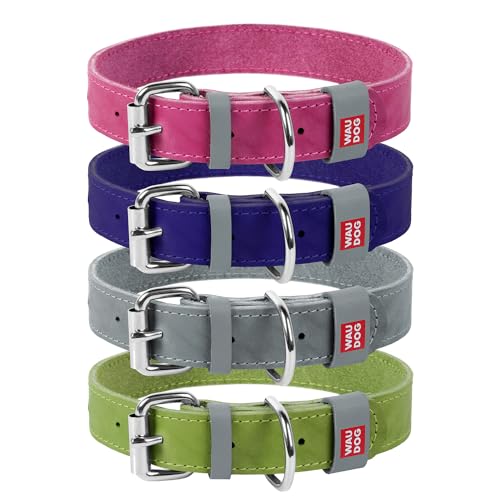 Halsband WAU Dog Classic Leder Hund für kleine Hunde, mittelgroße Hunde, große Hunde | bestes Leder für Hunde, L- 1 1/2' Width X 18 1/4' - 33 1/2' Length, violett