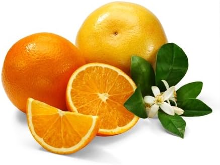 Navel Oranges and Ruby Grapefruit 10lb Box