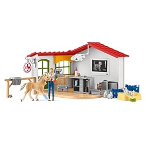 SCHLEICH 42502 Farm World – Dierenarts Praktijk en Huisdieren – Speelfigurenset – Kinderspeelgoed voor Jongens en Meisjes – 3 – 8 jaar – 27 Onderdelen