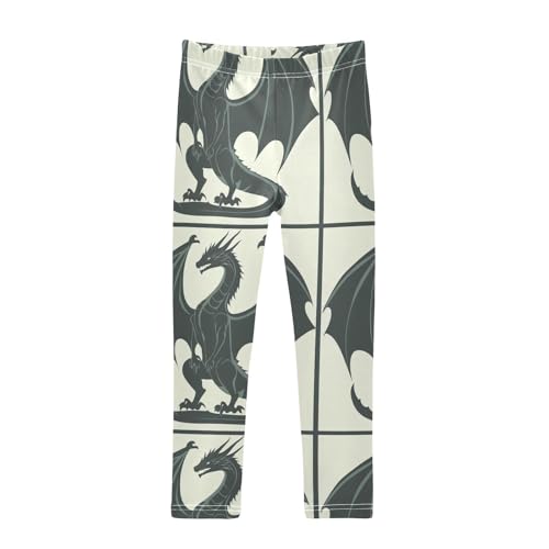 Girls Leggings Legend Dragon Toddler Girls Clothes Leggings for Girls Toddler Girls Leggings 3-4T