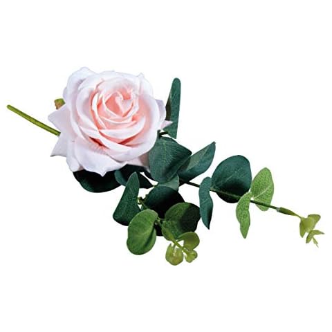 Rayher 55904258 Rosen Pick mit Eukalyptus Cover