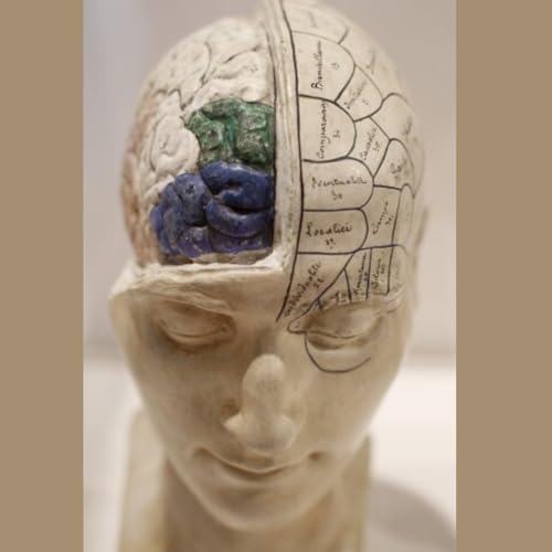 Couverture de Why cognitive decline is not inevitable