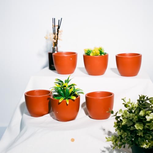 Image of TrustBasket Terra Minis Small Flower Pots Set of 6 | Terracotta Flower Pot | Mud Plant Container | Handmade Pots | Gamla for Plants | Pots for Plants for Home & Garden