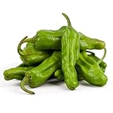 Japanese Shishito Pepper 30+ Seeds