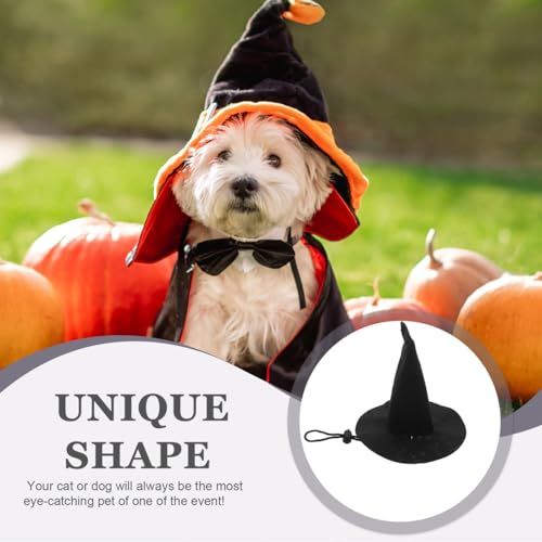 Sombrero de Bruja para Mascotas Halloween miniatura 4