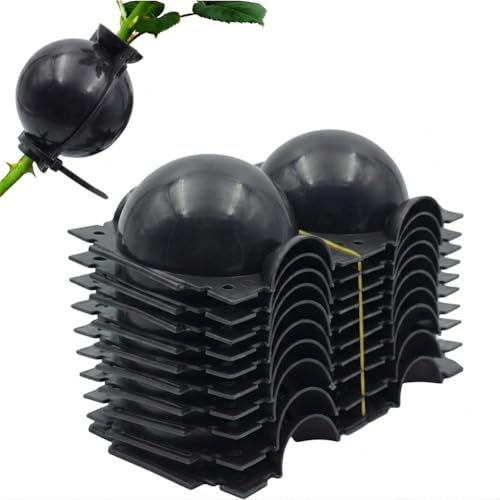 Generico 10 Pezzi Germogliatore Radicante per Talee e Piante, Grow Box per Propagazione con Margotta Aerea, Semenzaio Germinazione Riutilizzabile per Innesti, Alberi e Fiori