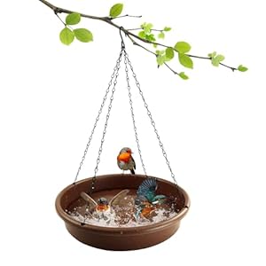 Birdbaths Bird Feeder Heavy Duty Hanging Bird Baths for Outdoors Wildlife Feeder Bird Water,Bird Seed 11.8inch 1Pcs Birdbaths Bird Feeder Heavy Duty Hanging Bird Baths for Outdoors Wildlife Feeder Bird WaterBird Seed 118inch 1Pcs