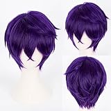 Anogol Hair Cap+ Short Purple Wig Men Dark Purple Male Wig Purple Spikey Wig Pelucas para Hombres Synthetic Heat Resistant for Halloween Christmas Event Costume Party