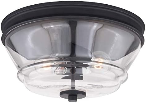 VAXCEL Toledo 13-in W Black Industrial Flush Mount Ceiling Light Fixture Clear Glass