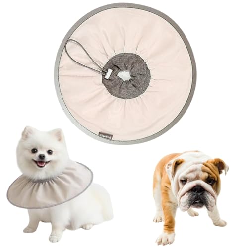 LifetipsuhbO uLp GUxXJ[ h \tg y pPA ی Ȃߖh~ p EȒP 􂦂 PAJ[(RRAej(Lj