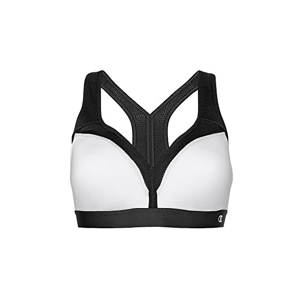 Champion-Womens-Curvy-Sports-Bra Champion womens The Curvy Sports Bra, White/Black, Large US