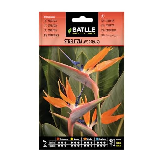 Semillas Batlle Strelitzia AVE PARAISO