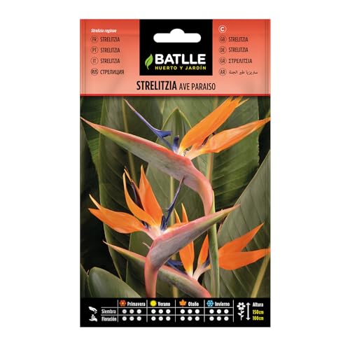 Semillas Batlle Strelitzia AVE PARAISO