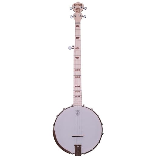 Deering Goodtime Openback 5 String Banjo - Best Beginner Banjo | Made In U.S.A.