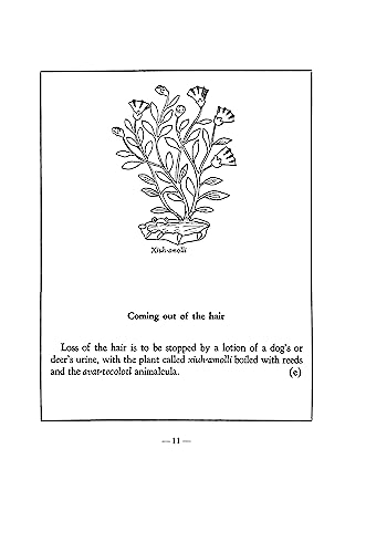 An Aztec Herbal: The Classic Codex of 1552 - Image 8