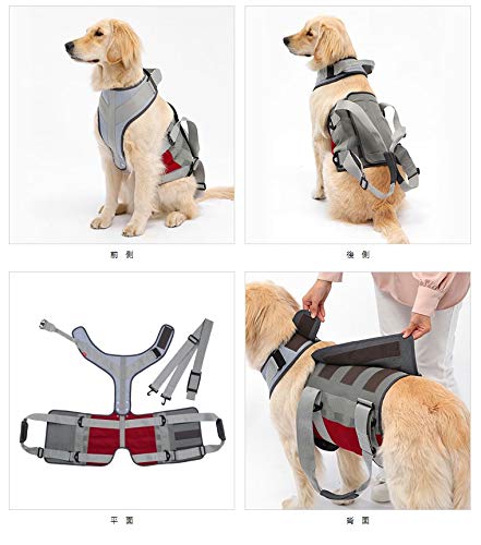 Amazon.co.jp: 犬 歩行補助ハーネス 介護 ハーネス 胴輪 LaLaWalk ララ