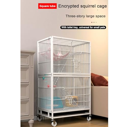 Ampia Gabbia a 2/3 Livelli per Piccoli Animali, per furetti, cincillà e petauri dello Zucchero - Rete Metallica criptata Resistente (60x46x70 cm) - Habitat Ideale e Spazio di Gioco