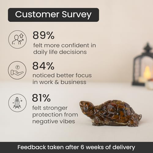 Image of Astrotalk Tiger Eye Tortoise (Kachhua) 2.7x1 Inch | Turtle for Confidence, Protection & Stability | Tortoise for Good Luck for Home | Vastu Items for Housewarming Gift | Home Decor for Living Room