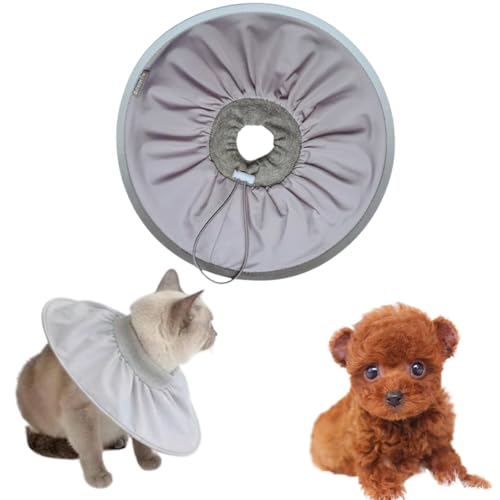 LifetipseB[Jbvv[h eB[Jbvv[Lp GUxXJ[ h \tg y pPA ی Ȃߖh~ p EȒP 􂦂 PAJ[([~XgO[j(Lj