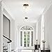 OYKYOHEI Semi Flush Mount Ceiling Light, Globe Glass Ceiling Light Fixture, Gold Modern Lighting for Hallway Porch Corridor Kitchen Bedroom, Bulb Not Included