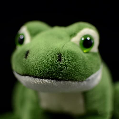 lilizzhoumax Grün Frosch Kuscheltier 12cm/5”, Simuliertes Tier Frosch Plüschtier, Kawaii Kuscheltier Frosch, Realistische Frosch Plüschspie Spielzeug für Wilde Tiere, Geschenk für Freunde und Kinder