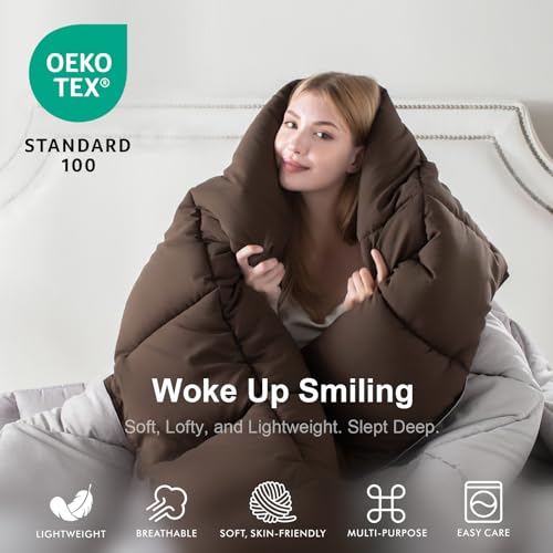 Image of KASENTEX Queen Comforter Set, Reversible,Goose Down Alternative,All Season | 250 GSM Fill, Ultra-Soft, Lightweight, Machine Washable, 1 Comforter + 2 Pillow Shams, Silver Cloud /Chocolate Brown