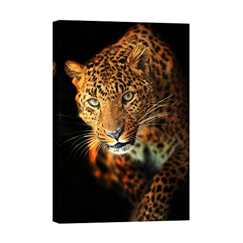 Tableau animaux lumineux de nuit DCA055-2 pour rompre l obscurite de votre chambre