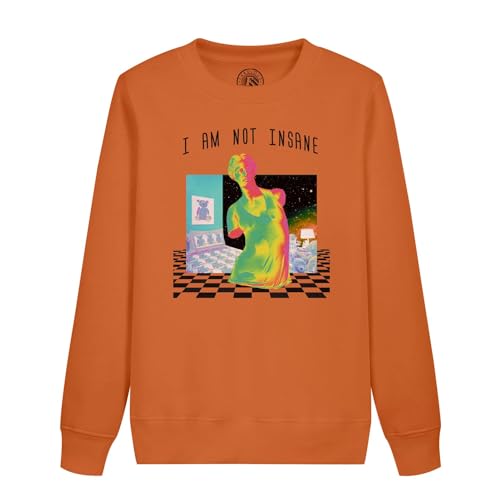 Sweat enfant illustration vintage idéal pour l'école et le jeu