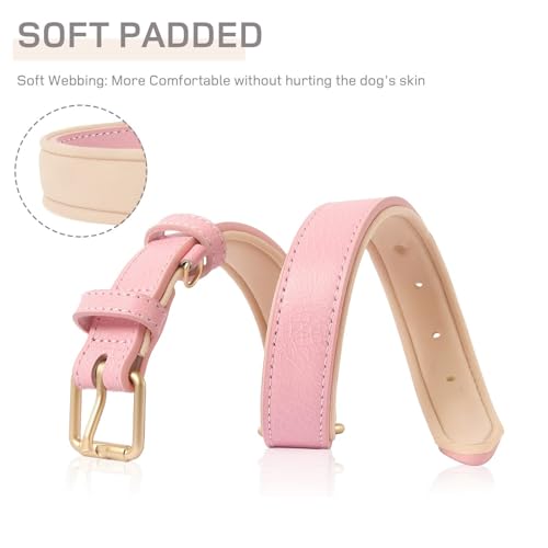 HEELE Hundehalsband Leder Hundehalsband mit gepolstert und echtes Leder, Verstellbar, Halsband für Welpen Kleine Hunde, Rosa, XS