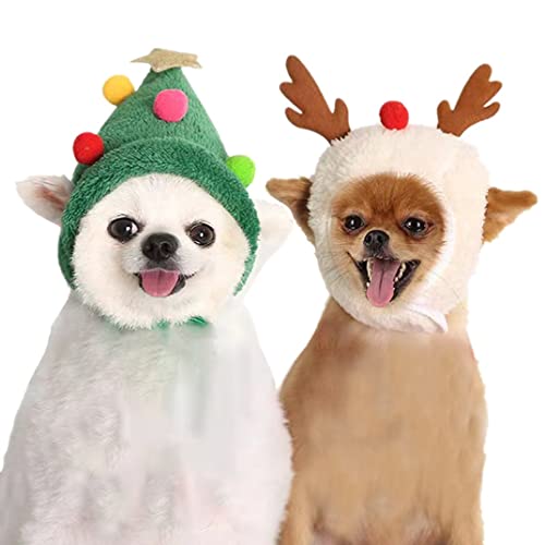 ICOUCHI NX}X  L ybg RX`[ ^ Xq ybgnbg h ۉ T^/giJC H~ 񑫕s  蕨 RXv ybgpi  ϐg Be ʐ^