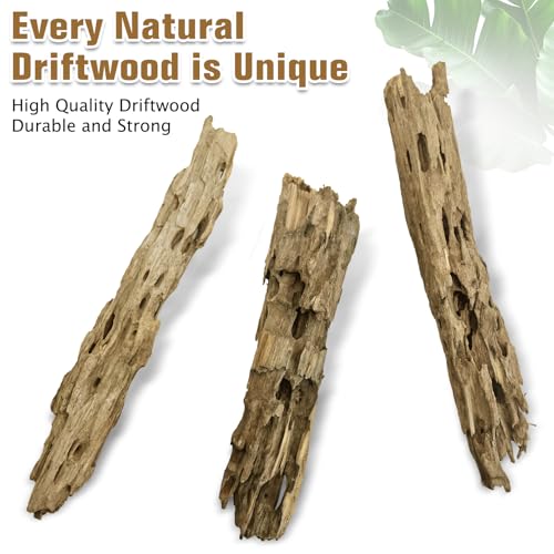 Image of PINVNBY Natural Driftwood for Aquarium Large Reptile Terrarium Decor Decorations Assorted Branches Dearded Dragon Tank Accessories (Slim Style: 7.87-11.8 inches /3 Pack)