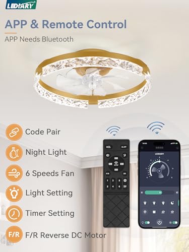 Image of LEDIARY 20 inch Low Profile Ceiling Fans with Lights, APP & Remote, Gold