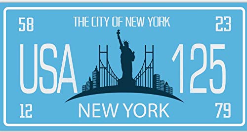 - Set mit 10 Metall USA Auto LIZENZPLATTEN - Repliken von echten amerikanischen Platten (Fabbri LF3)