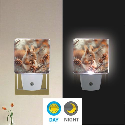 Image of Cute Squirrels Pine Cones Night Lights 2 Pack Plug-in Wall Led Nightlight Auto Dusk-to-Dawn Sensor Lamps for Bedroom Kitchen Bathroom