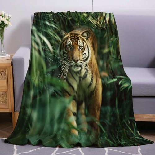 Grüner Dschungel Kuscheldecke 150 x 200 cm Tiger Weich Warme Fleecedecke Für Bett Couch Flanelldecke Als Sofadecke Wohndecke Tagesdecke