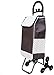 JHYFT Carrello della Spesa Carrello della Spesa Multifunzione Carretto Old Age Scala Scale con Gancio Maniglia Sedile Borsa di Tela Impermeabile Rimovibile Carrello a Mano,Nero,A (Nero A),Shopping
