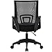 T-LoVendo TY-H03-BLACK Silla de Oficina con Soporte Lumbar, Negro, Normal