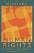 Human Rights as Politics and Idolatry: (The University Center for Human Values Series)