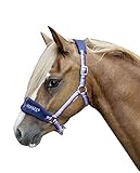 100% Polypropylen HKM Halfter -Funny Horses-, dunkelblau/blau/Dunkelpink, Shetty