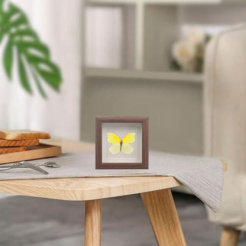 Image of 4 PCS Butterfly Display Case Shadow Box Frame, Insect Display Case Specimen Showcase Insect Specimen Storage Box for Bug Butterfly Insect Collection Display, 4.7 x 4.7 Inch