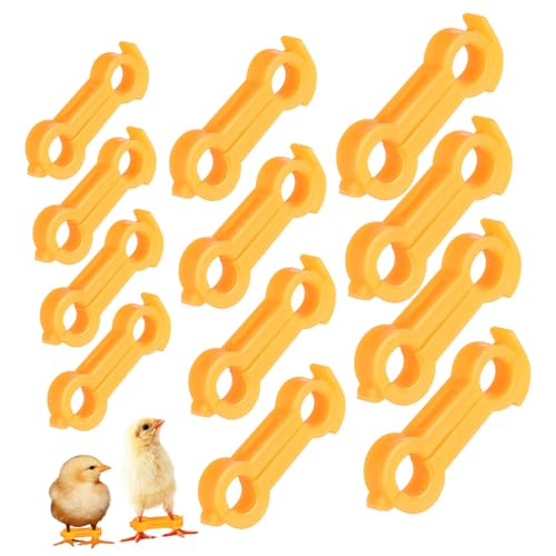 BESPORTBLE Bird Leg Bands for Pigeons Chick Leg Brace Chicken Supplies Foot Ring Bird Correction Device