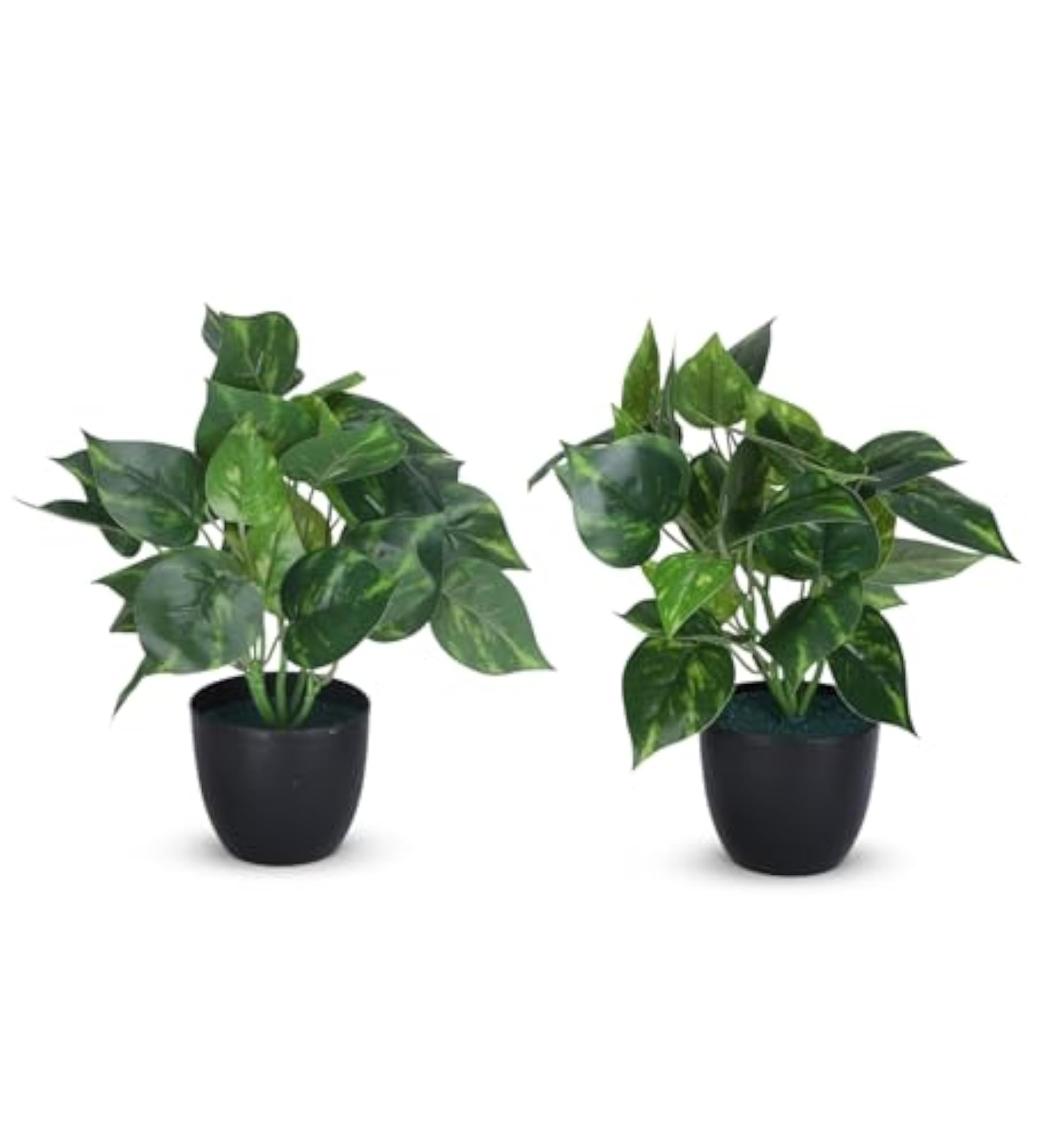 Artificial Money Plant in Black Pot - Set of 2