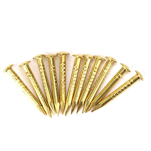 Haosie 100pcs Copper Nails, 15mm Length Brass Round Head Long Nail, Hinge Hardware Accessories, for Home Furniture